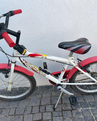 Bicicletta
