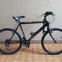 Bicicletta Mountain Bike con catena Kryptonite