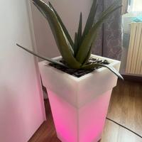 Lampada da camera (sala)