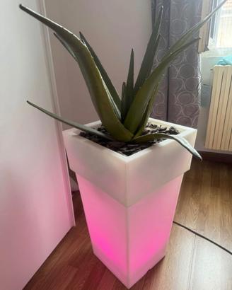 Lampada da camera (sala)