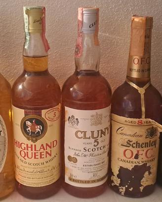 Lotto 6 bottiglie di whisky  vintage anni 80.