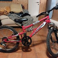  Bici montain bikeStorm ragazzi
