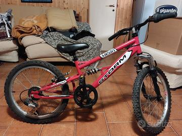  Bici montain bikeStorm ragazzi