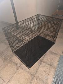Kennel per cani