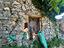 Immagine 9