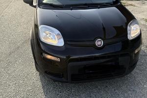 Fiat panda 2024