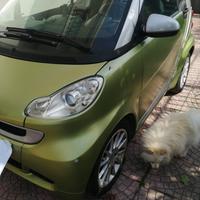 SMART - Fortwo - 1000 52 kW MHD passion