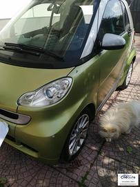 SMART - Fortwo - 1000 52 kW MHD passion