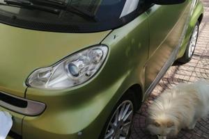 SMART - Fortwo - 1000 52 kW MHD passion