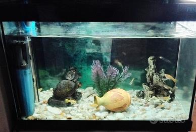 acquario 30 litri