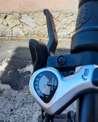 BICICLETTA ELETTRICA ENGWE P1