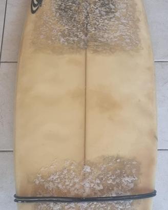 Tavola da Surf