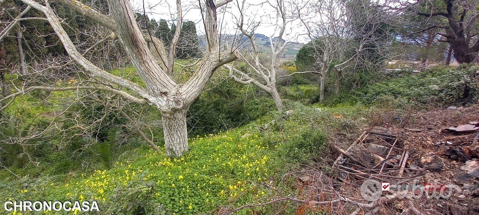 Locanda, terreno con ruderi e deposito - Vista 3