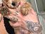 Immagine 1