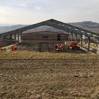 MANEGGIO COPERTO TUNNEL RICOVERO FIENO MAGAZZINO