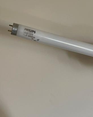 Neon Philips