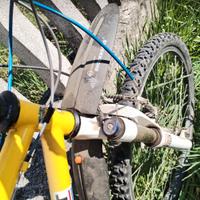 MTB DA competizione SCOTT