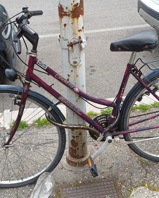 Bici Atala Country