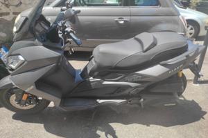 Wottan Motor Storm-S 300 - 2022