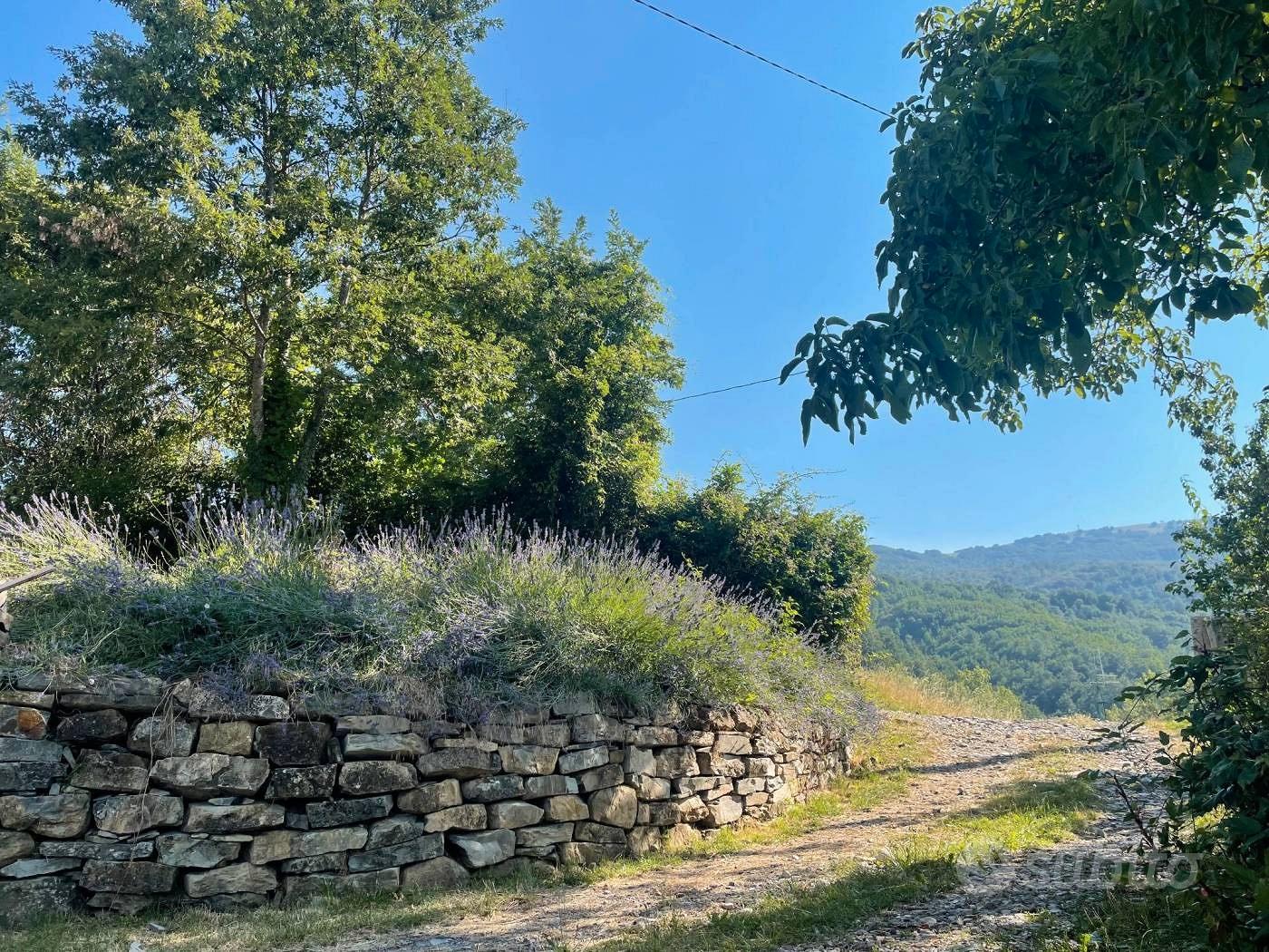 Podere agricolo con attività a Bedonia (PR) - Vista 5