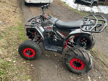 Lem Altro modello - 2015