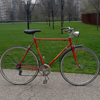 Bicicletta Monti record