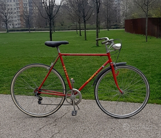 Bicicletta Monti record