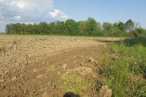 Terreno agricolo di 75.000 mq a Mogliano Veneto
