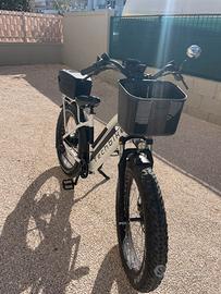 Bicicletta elettrica