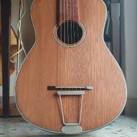Di Mauro Chitarra Acustica/Gipsy
