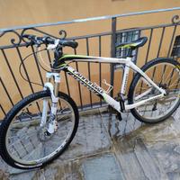 Cannondale Taurine F series in carbonio