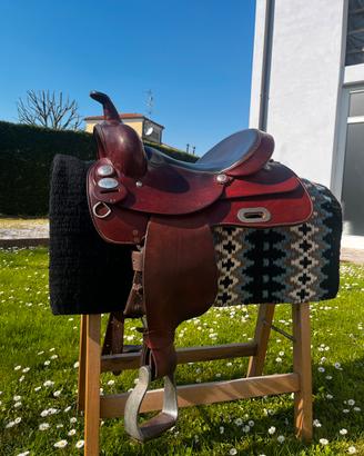 sella Brad Ren's 15 pollici