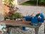 Immagine 3