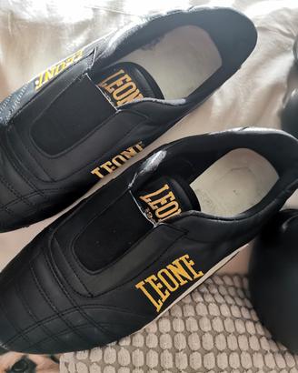 Leone scarpe in pelle Rare