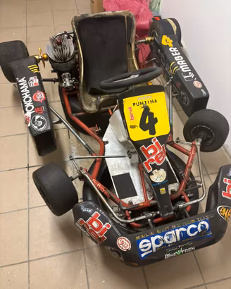 Kart Birel 100cc PCR