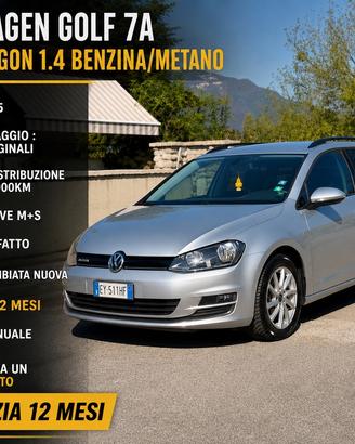 Volkswagen Golf Variant 1.4 TGI Comfortline BlueMo