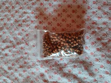 Perline in legno naturale 