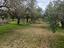Immagine 18