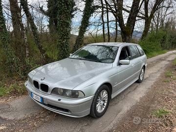 Bmw 530d 24V cat Touring Futura 193cv