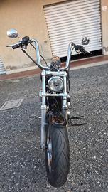 harley davidson 1200 custom