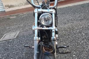 harley davidson 1200 custom