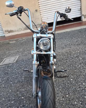 harley davidson 1200 custom