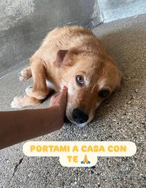 Dimenticato dal mondo