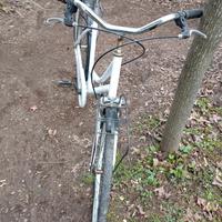 city bike donna portabici peruzzo