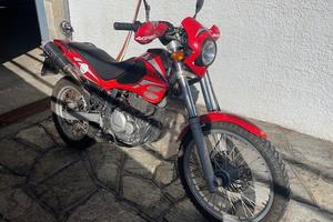 moto Beta Alp 4.0