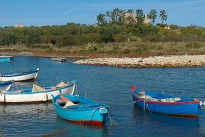 CASALE di 11 vani con terreno agricolo sul mare