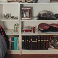 Libreria Billy bianca