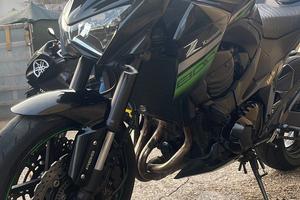 Z800 2016