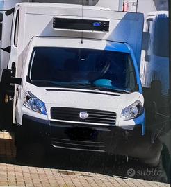 Furgone con gruppo frigorifero