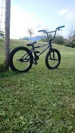 bmx kink curb